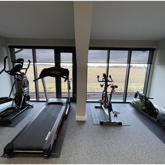 Personal gym with windows