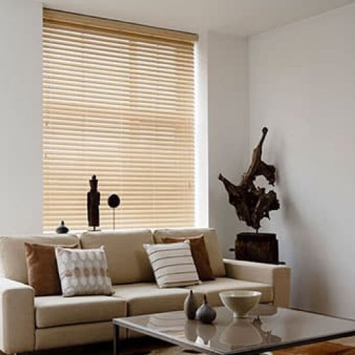 Living room with window blinds