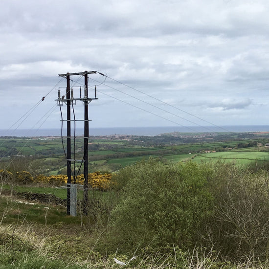View of countryside and electricity poles